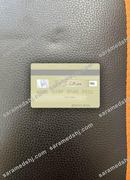 Poland Banca Intesa visa debit card photolook back